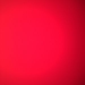 Meet your Posher, Selena